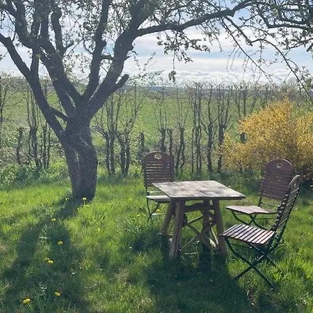 Storchenwiese Im Fraenkischen Seenland *