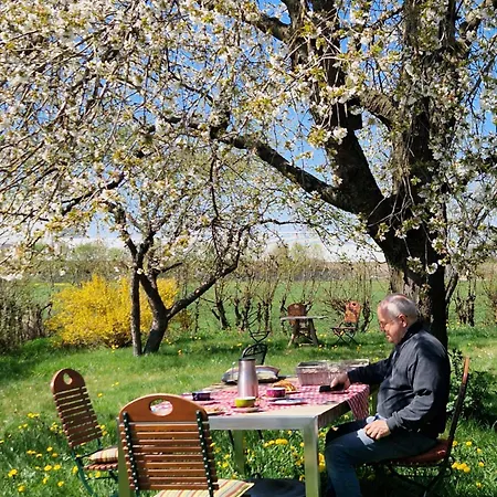 Storchenwiese Im Fraenkischen Seenland アパート *